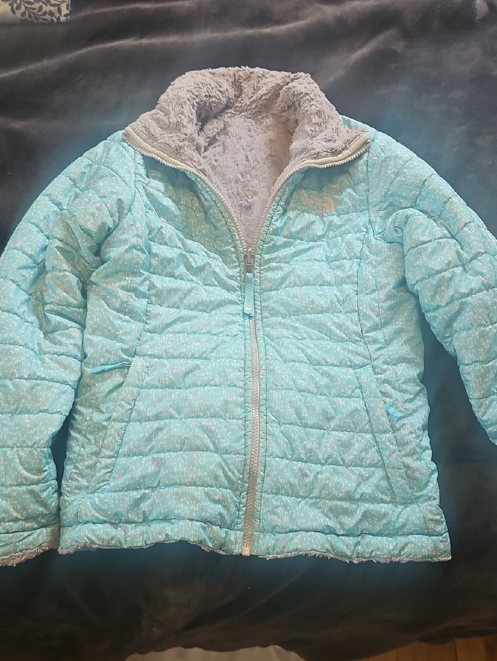 The North Face Aquamarine Quilted Jacket with Gray Fleece